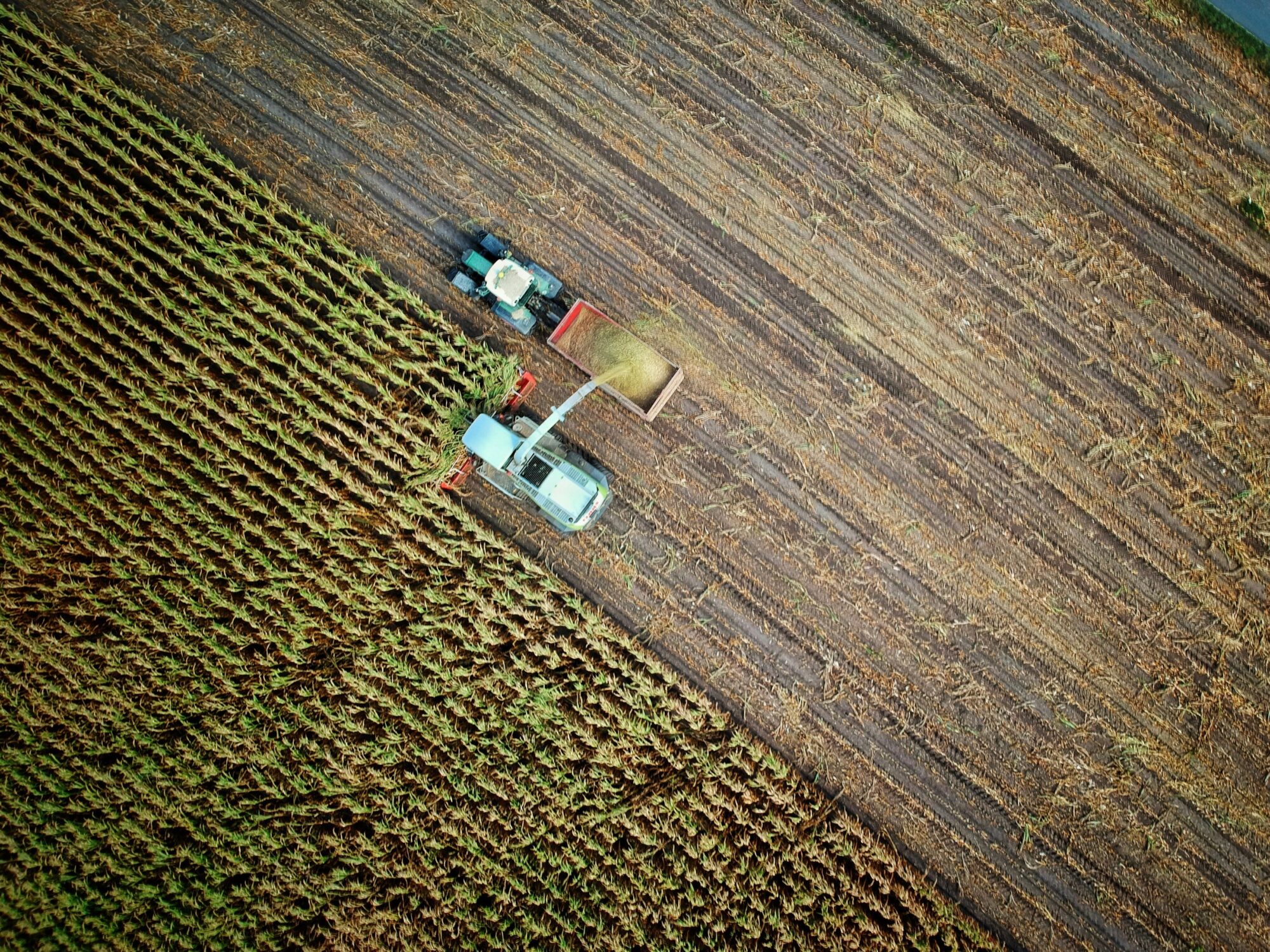 Green Teams in Landwirtschaft, Ernährung & Lebensmitteleinzelhandel